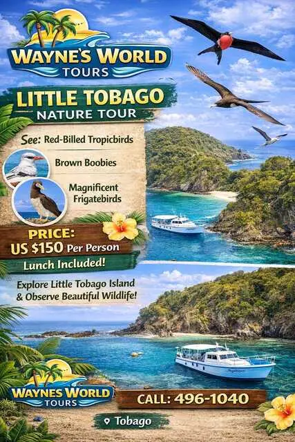 Little Tobago Nature Tour-Wayne's World Tours