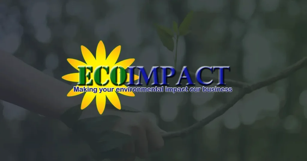 ecoimpact cover